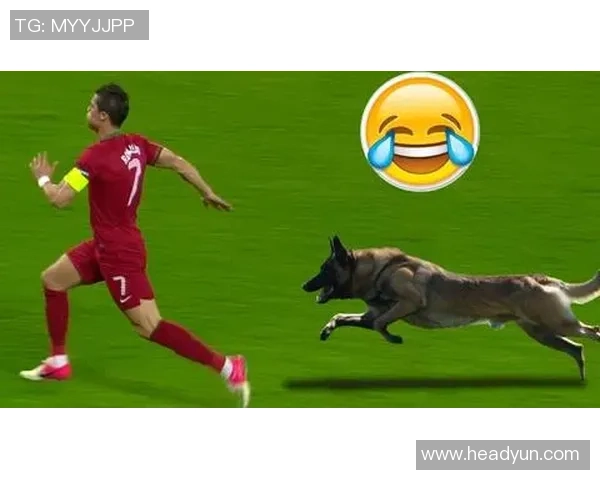 时尚与运动完美结合足球狗外套让你的宠物成为场上焦点